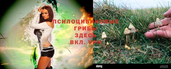 дживик Алзамай