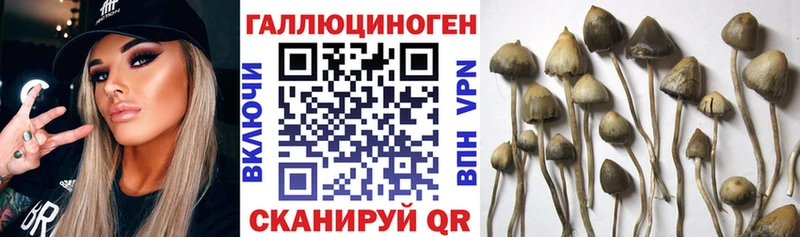 Галлюциногенные грибы GOLDEN TEACHER  Красноярск 